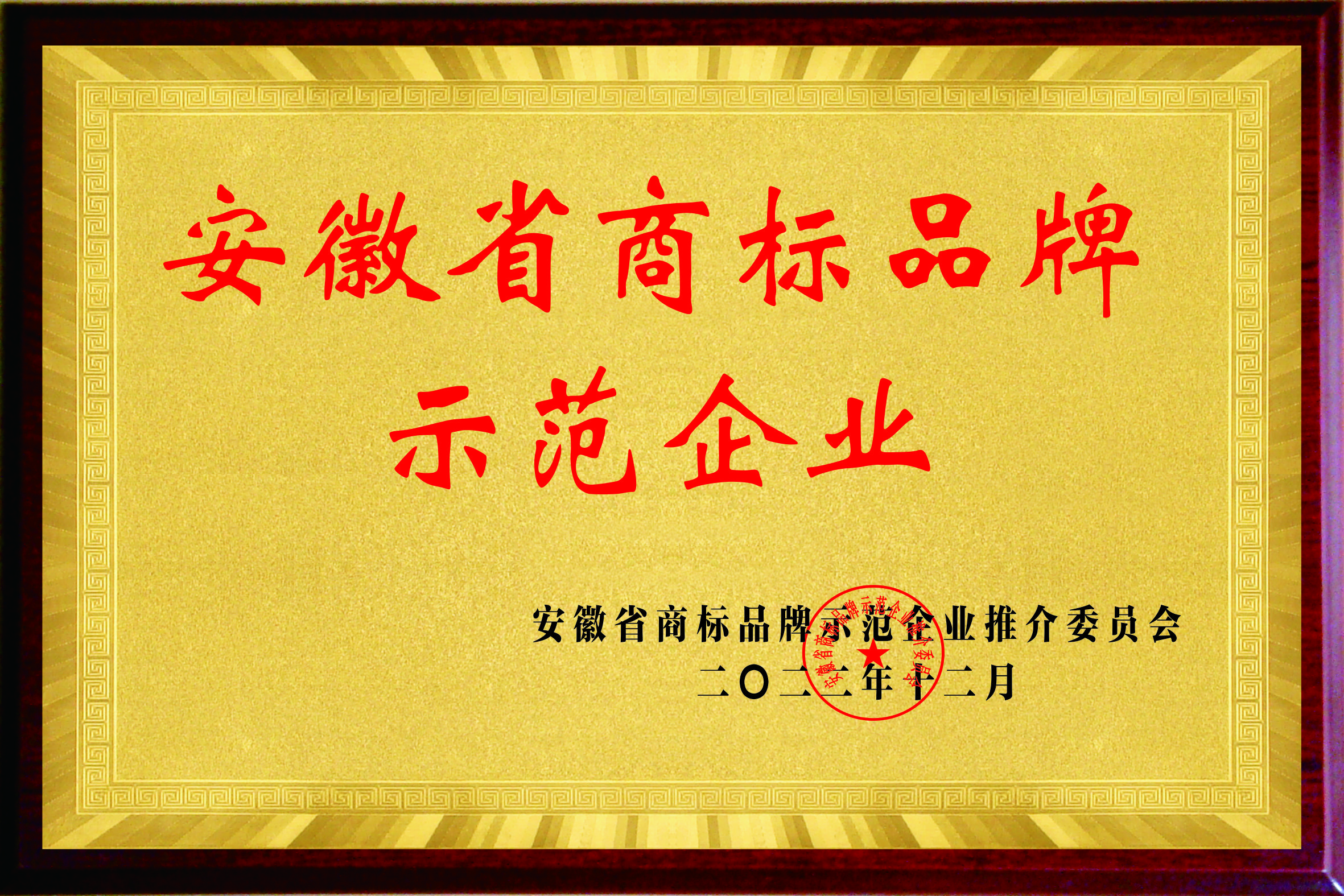 202212安徽省商標品牌示范企業.jpg
