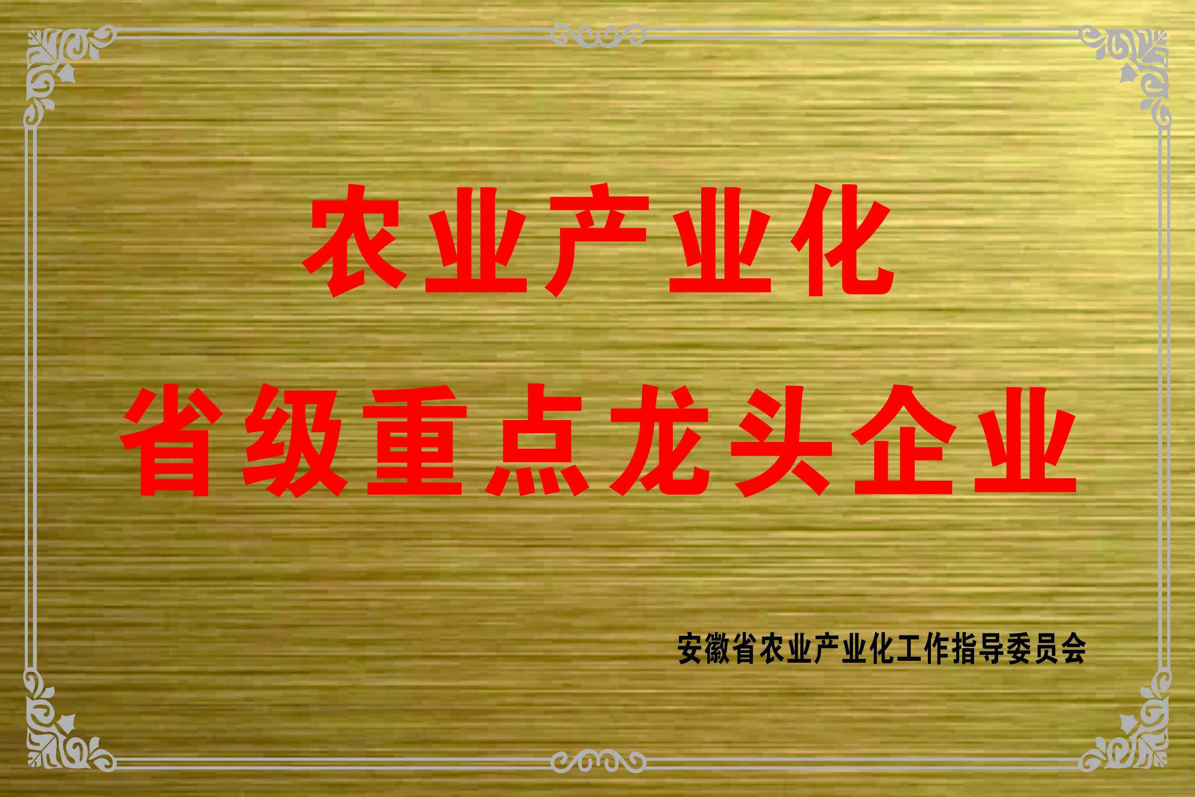 202211農業產業化省級龍頭企業.jpg